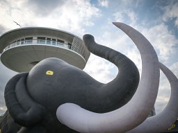 NM Hamburg 2025